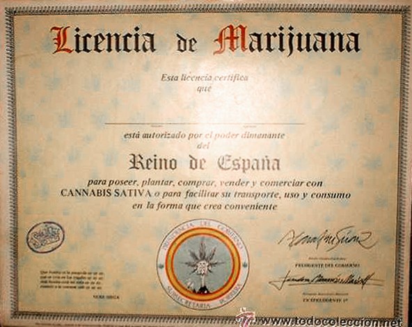 Nuestros diplomas.